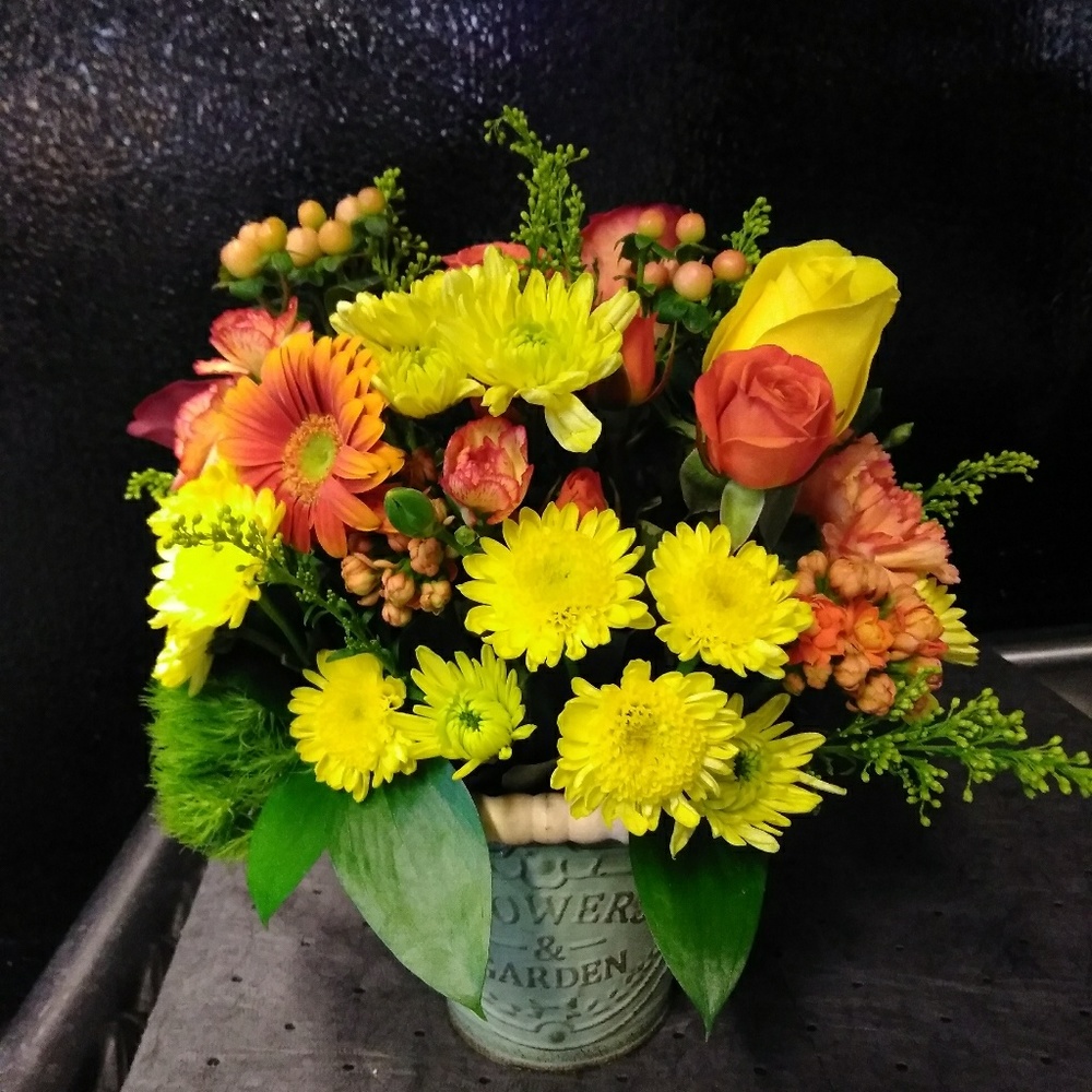 Meet your Posher, Janene